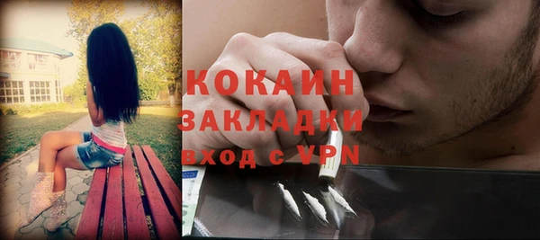 твердый Абаза