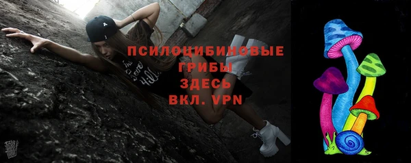 МДПВ Алексеевка