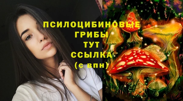 ГАЛЛЮЦИНОГЕННЫЕ ГРИБЫ Абдулино