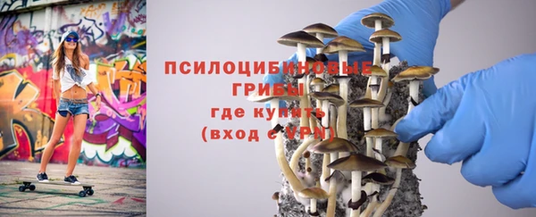 МДПВ Алексеевка