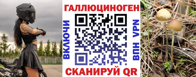наркота  Челябинск  Псилоцибиновые грибы Cubensis 